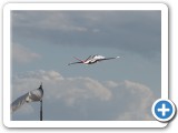 2013-08-03_Maubeuge_0429